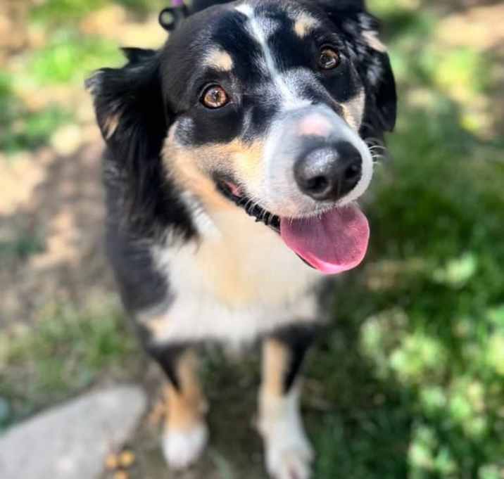 Photo of Jacob