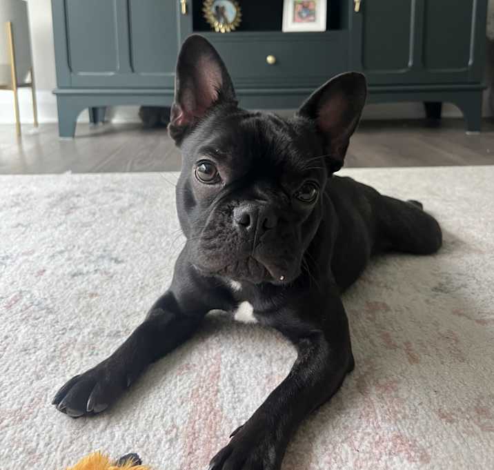 Photo of George