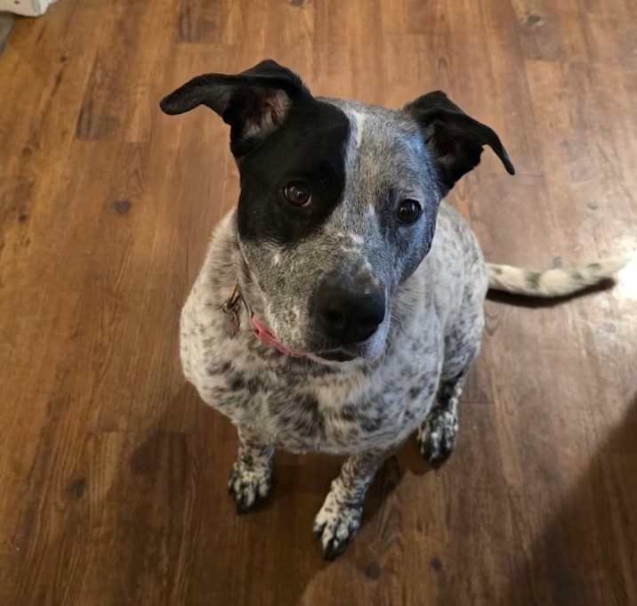 Photo of Freya