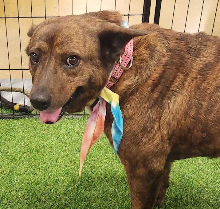 Photo of Vanilla aka Penny PS