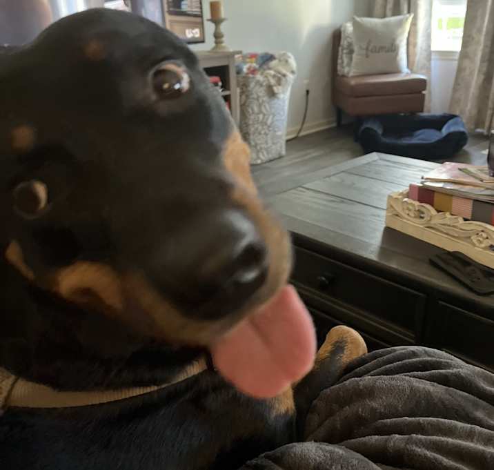 Photo of Polly