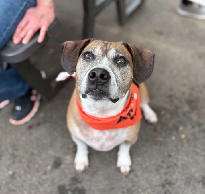 Photo of Roscoe