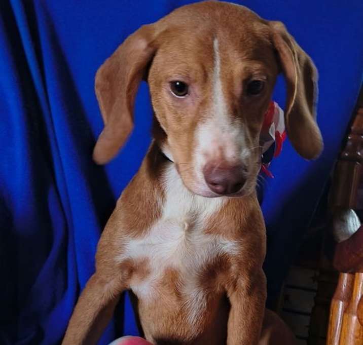 Photo of Oakley