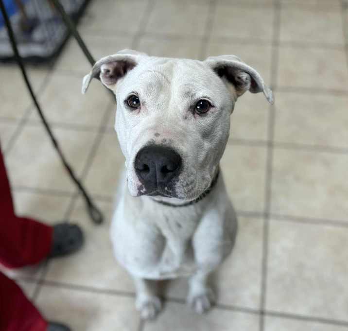 Photo of Cloud
