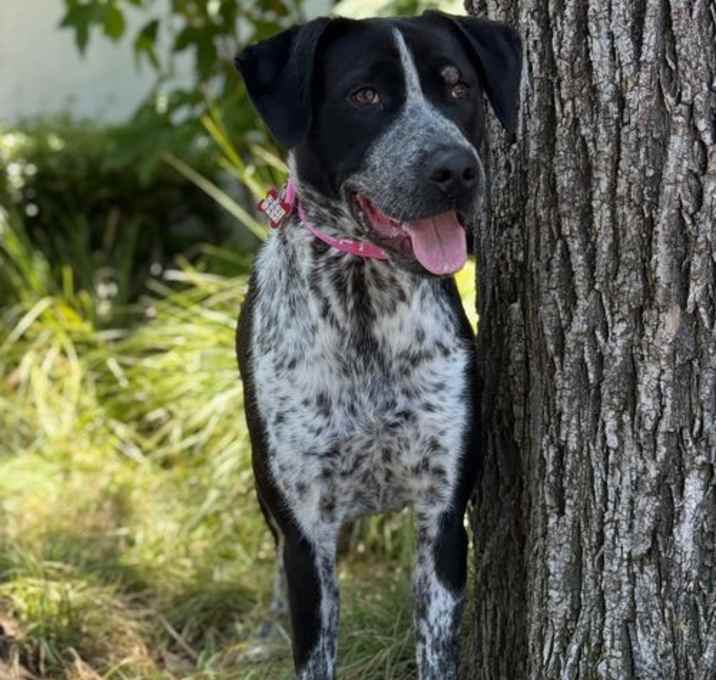 Photo of Spirit