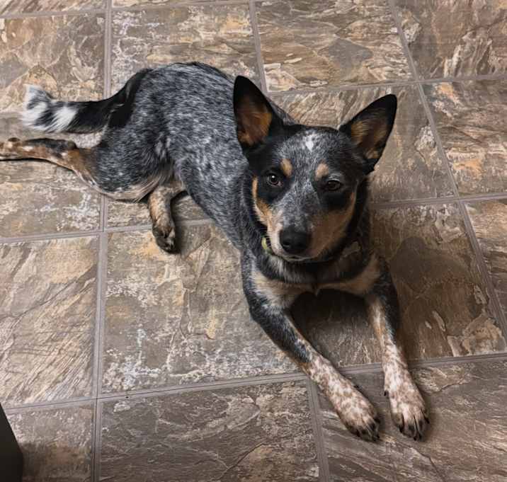 Photo of Winnie