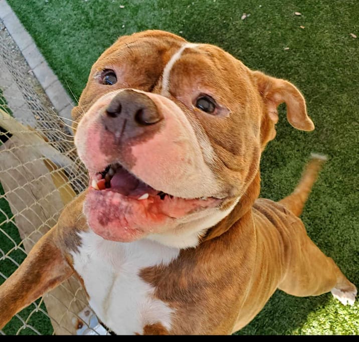 Photo of Tank