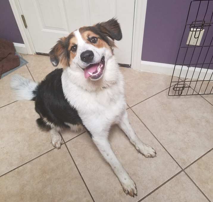 Photo of Dax