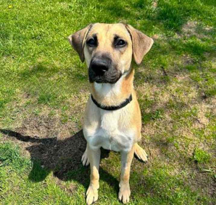 Photo of Tracker