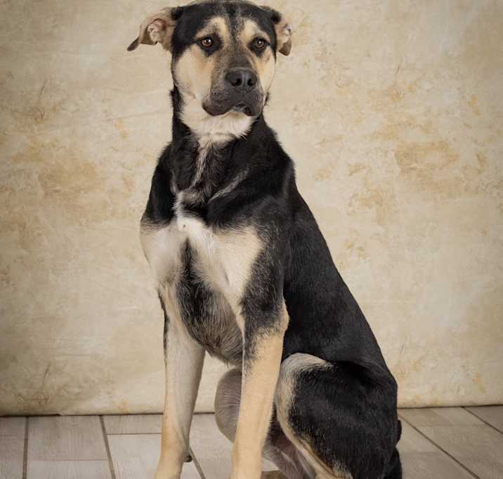 Photo of Magnum