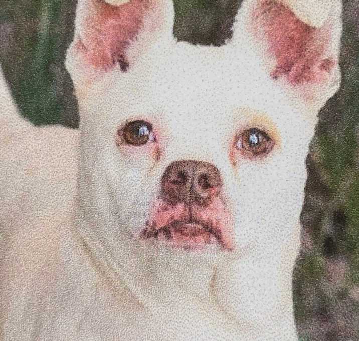 Photo of Kaya