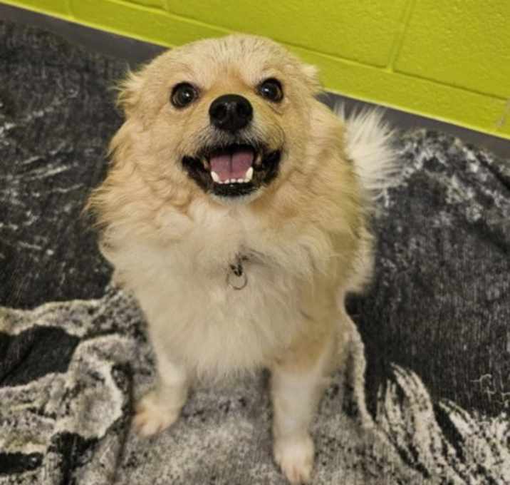 Photo of Rolo
