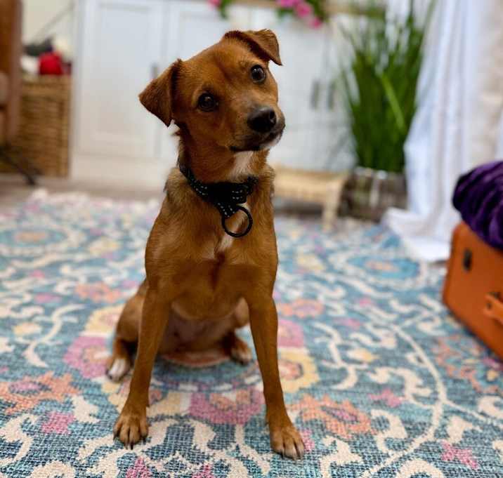 Photo of Susie