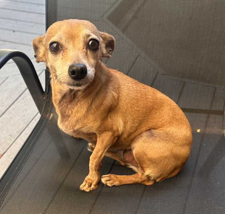 Photo of Coco