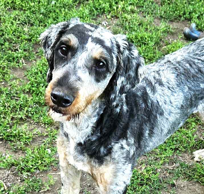 Photo of Charlotte