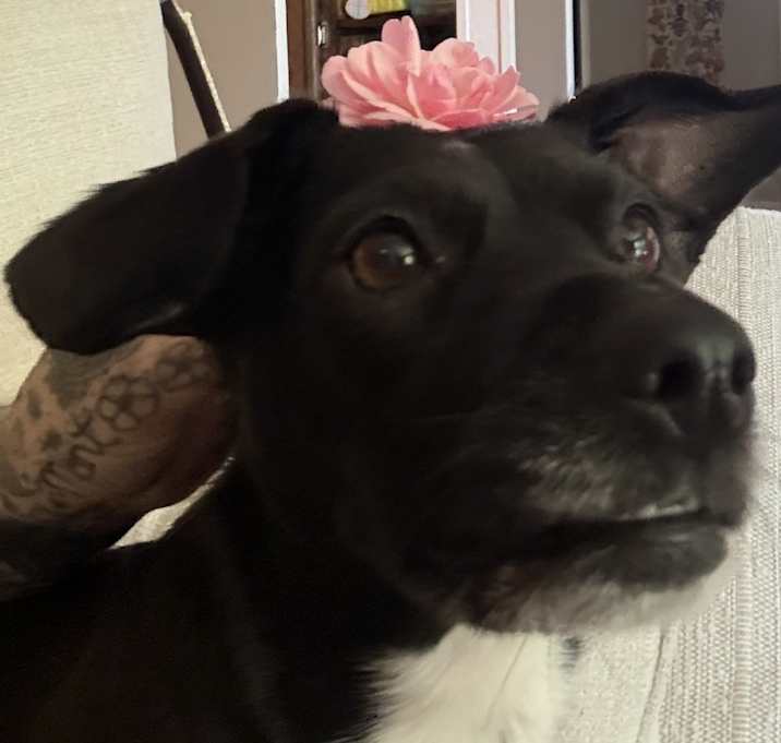 Photo of Lani