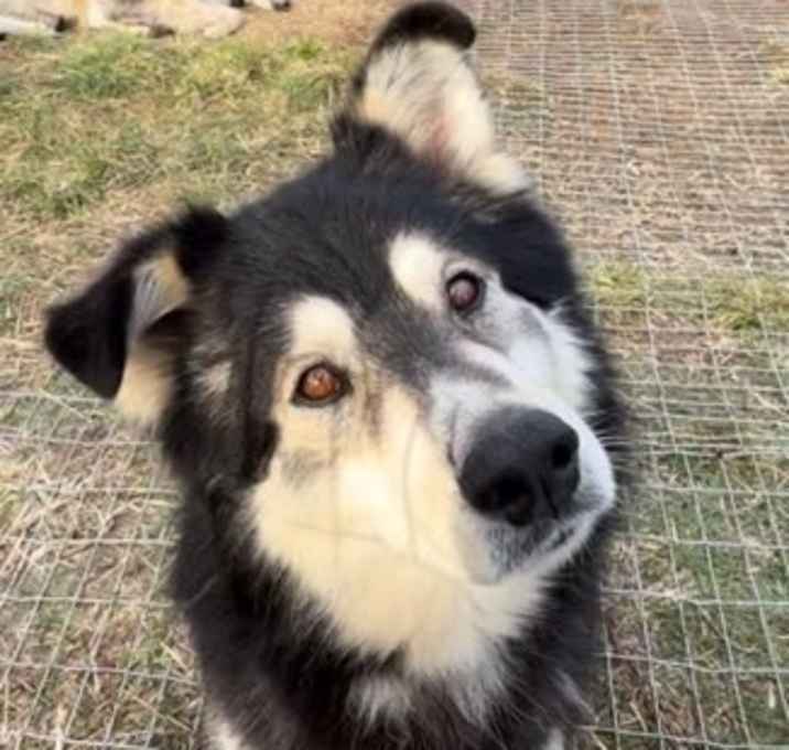 Photo of Togo