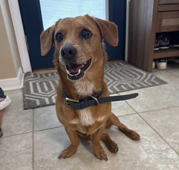 Photo of Kibbi