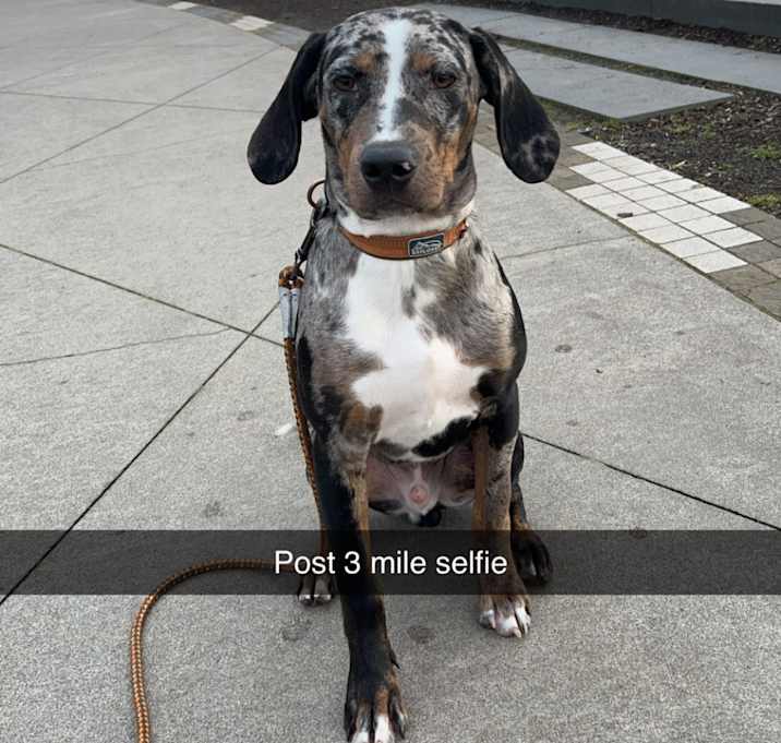 Photo of Knox