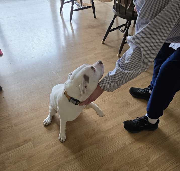 Photo of Patch