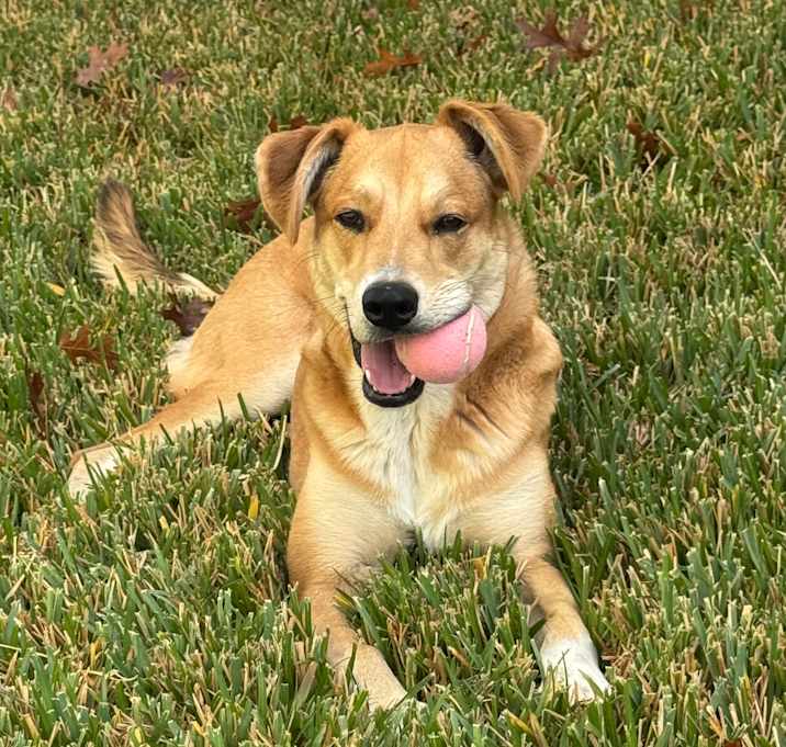 Photo of Lola