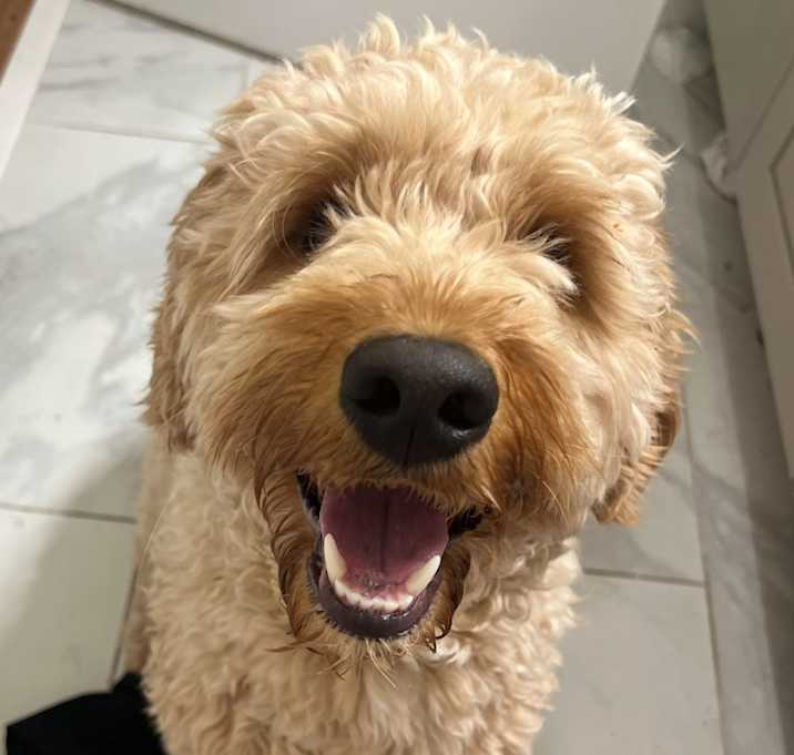 Photo of Charlie