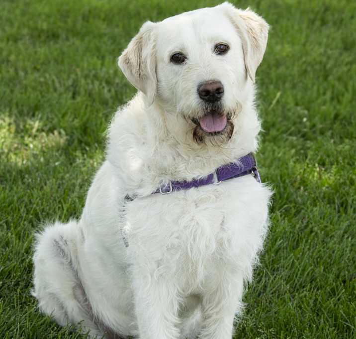 Photo of Rookie