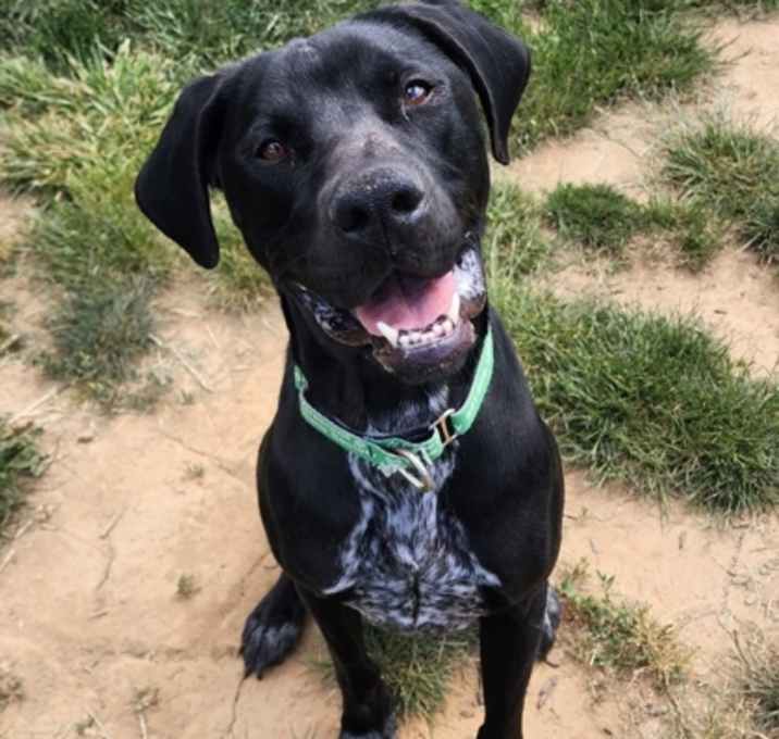 Photo of Arlo
