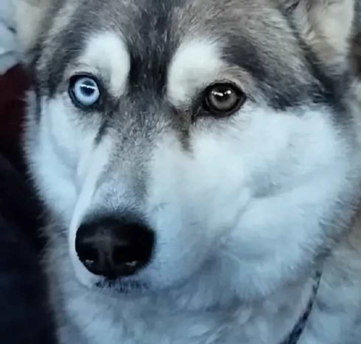 Photo of Lexi