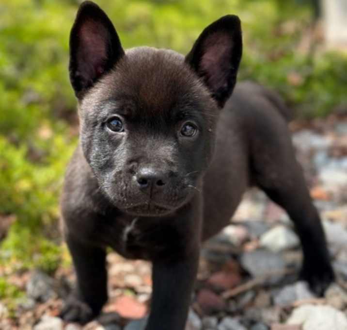 Photo of Marlee