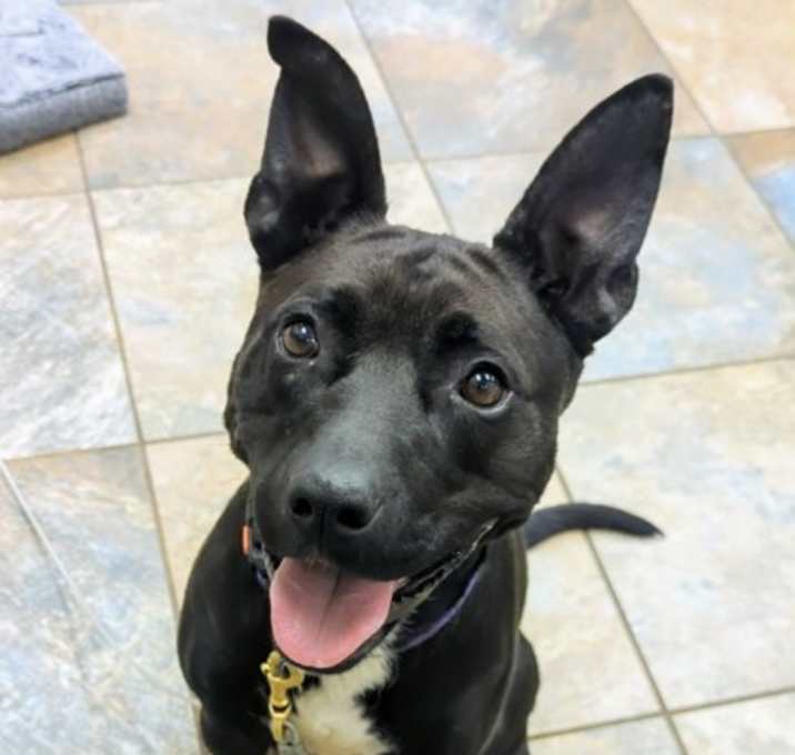 Photo of Athena