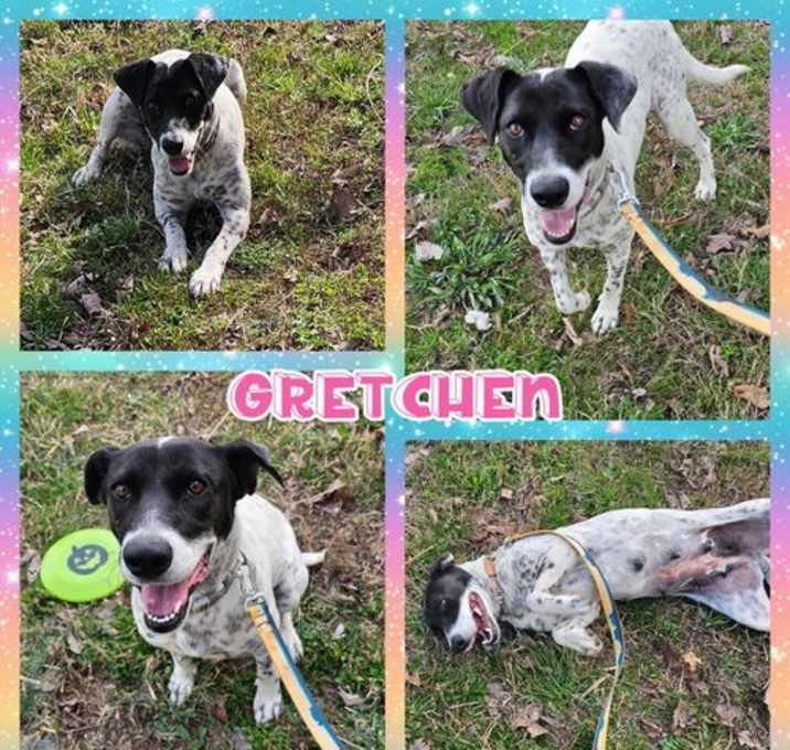 Photo of Gretchen