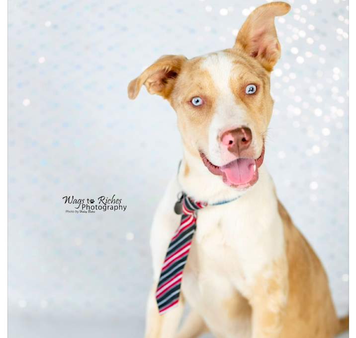 Photo of Atlas