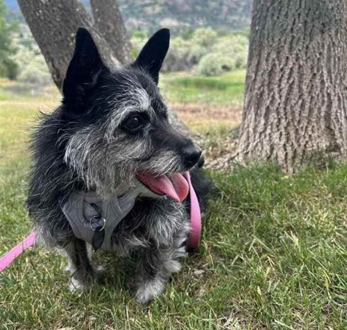 Photo of Mia