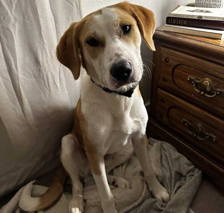 Photo of Buster