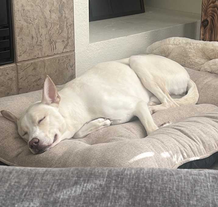 Photo of Winnie