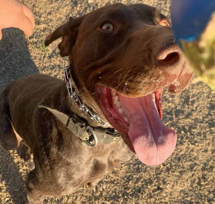 Photo of Arlo