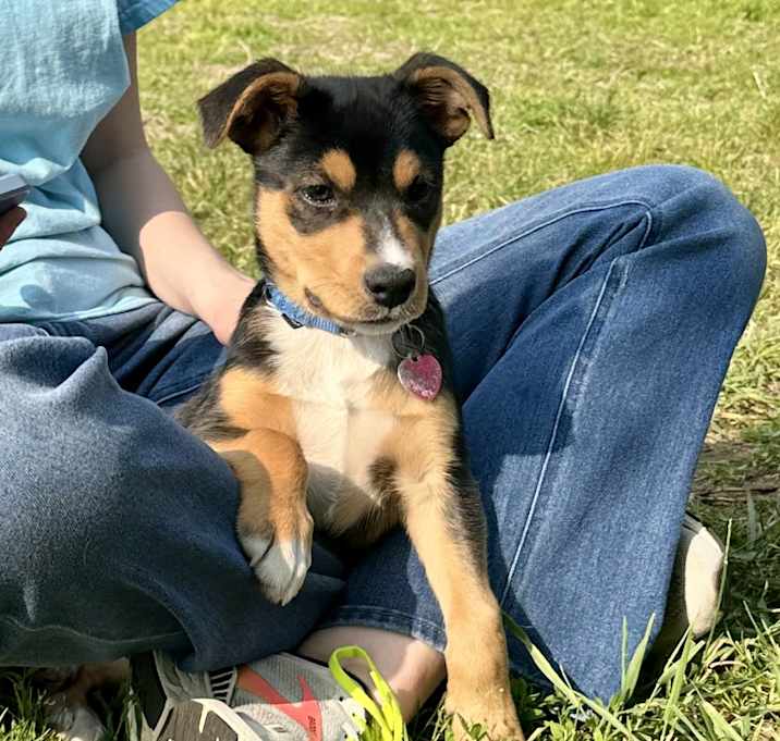 Photo of Baby Billy