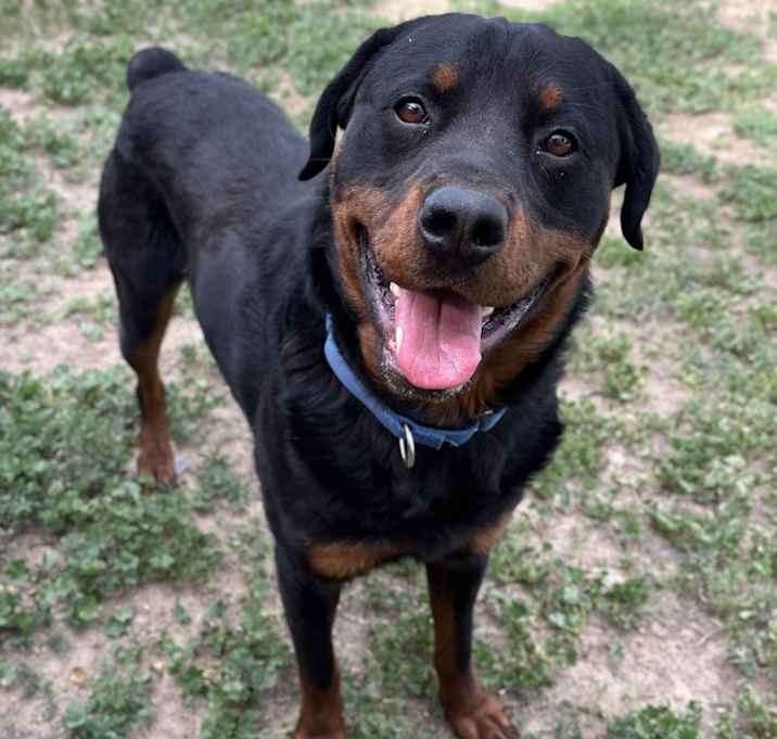 Photo of Simon