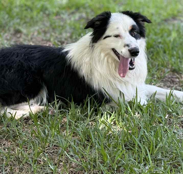 Photo of Casper