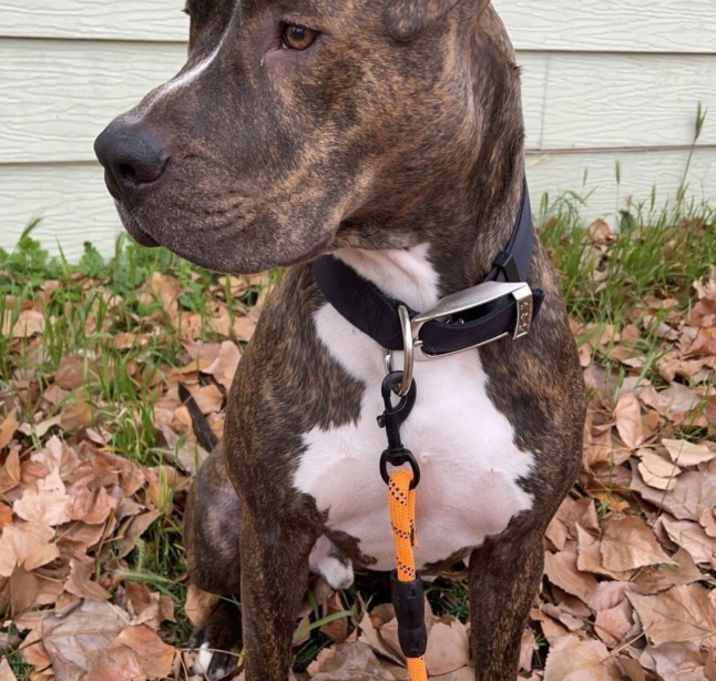 Photo of Zeus