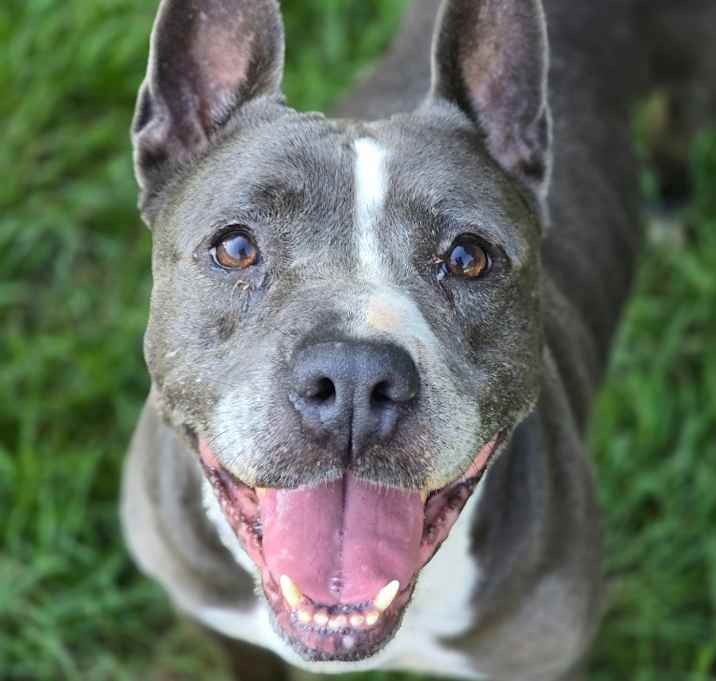 Photo of Sadie