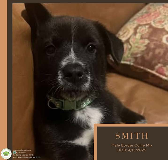 Photo of Smith