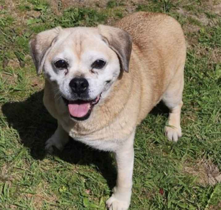 Photo of Brinkley