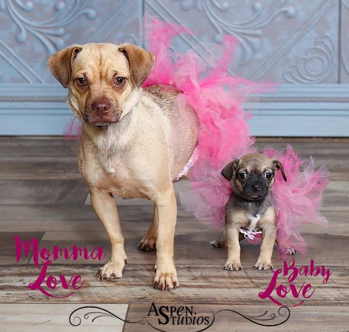 Photo of Mama love
