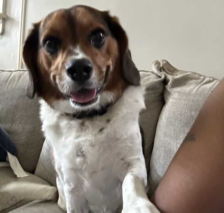 Photo of Jax