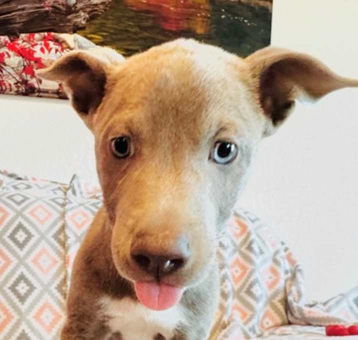Photo of Blue from The Hole