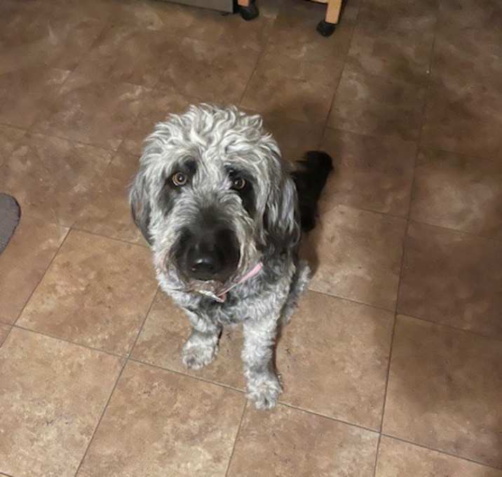 Photo of Holly