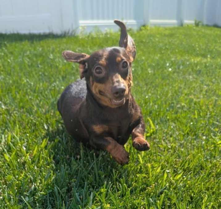 Photo of Starla in TN