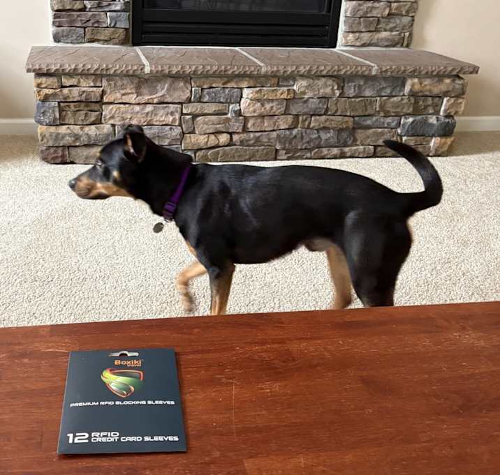 Photo of Diesel